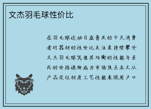文杰羽毛球性价比